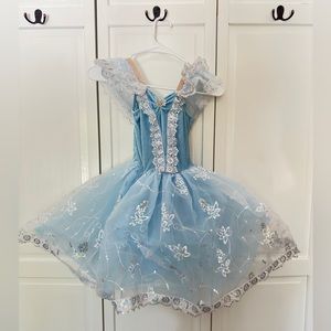 Revolution Ballet Cinderella dance costume. Velvet, lace and tulle. Like new